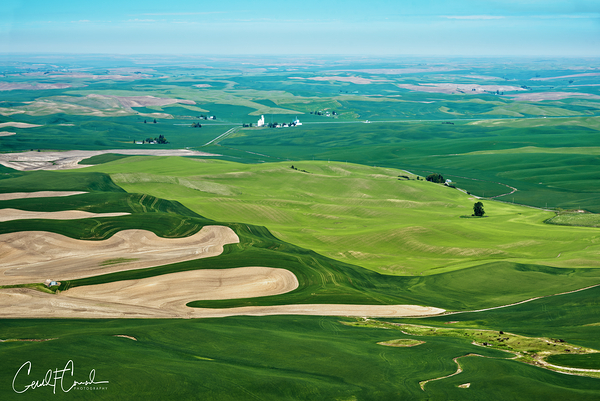 Palouse Print