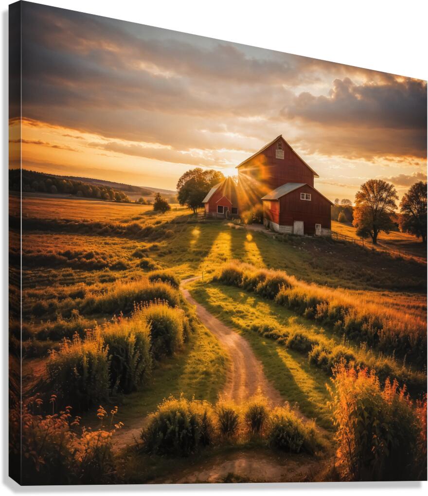 Highland Canvas Print