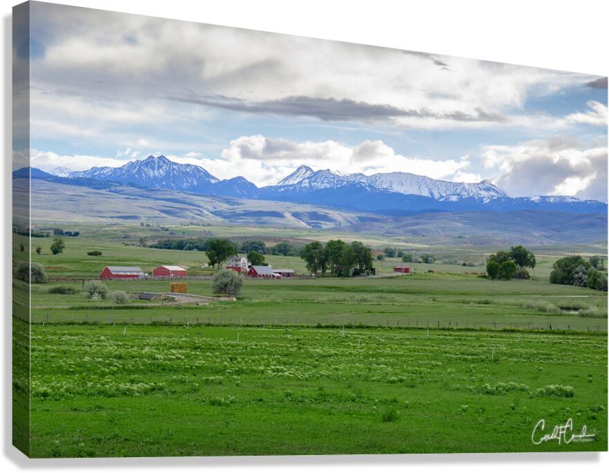 Farm Field Canvas Print
