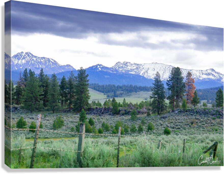 Cold Mountain Canvas Print