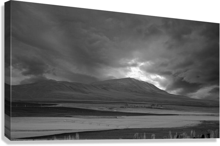 Brooding Canvas Print