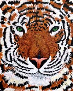 Bengal Beauty