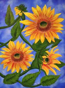 Flaxen Four