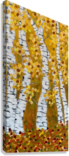 Autumn Birches Canvas Print