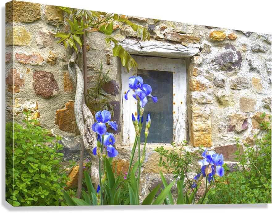 Au n°7 Canvas Print