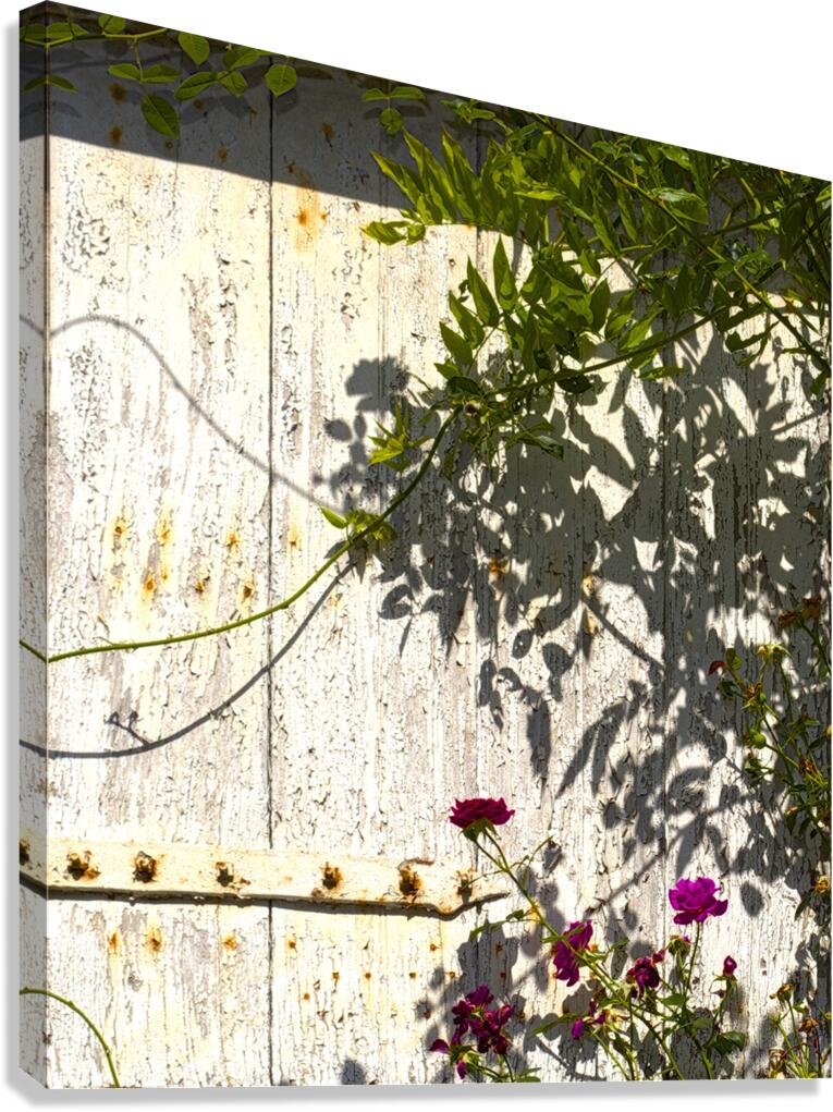 Au n°7 Canvas Print