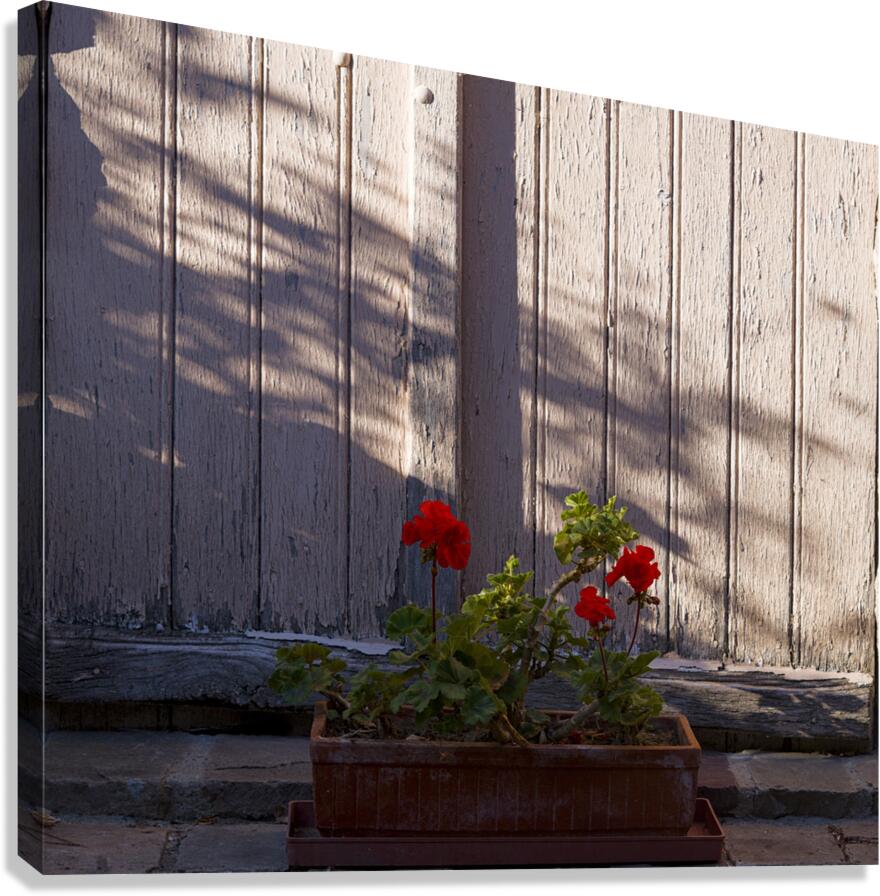 Au n°9 Canvas Print