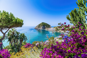 Ischia and Bougainvillea 