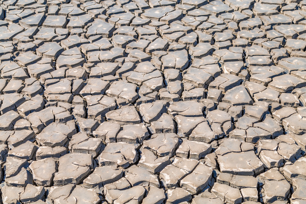 cracked clay soil by Vivida Photo PC