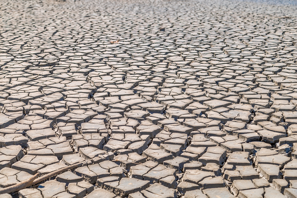 cracked clay soil  by Vivida Photo PC