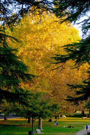 20181021 DSC 0029  2 