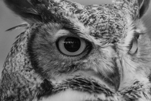 20181021 DSC 0228  2  1 2