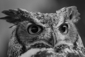 20181021 DSC 0242  2 