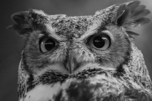 20181021 DSC 0247  2  1 2