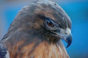 20181021 DSC 0283  2  2 5