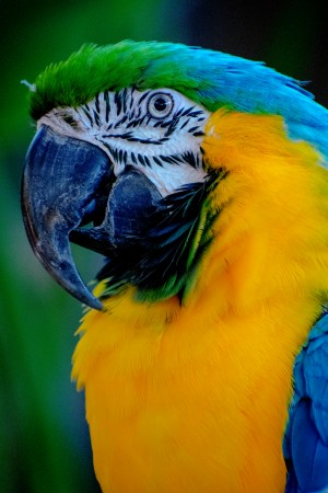 20181021 DSC 0297  2  1