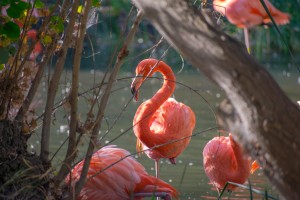 20181021 DSC 0492  2  1