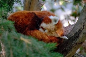 20181021 DSC 0500  2 