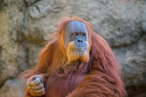 20181021 DSC 0508 1 2