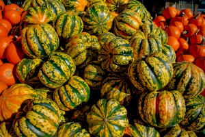 20181028 DSC 0015  5 