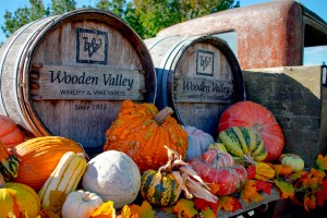 20181028 DSC 0048  4 