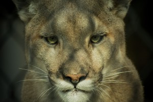 20181104 DSC 0032  3 