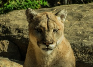 20181104 DSC 0073  3  9