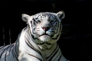 20181104 DSC 0151  3 