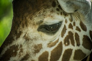 20181104 DSC 0225  3 