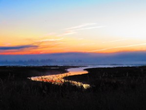 20181211 IMG 2903 1610470274.2012