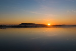 20200110 DSC 0244  2 