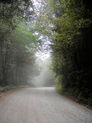Mist1