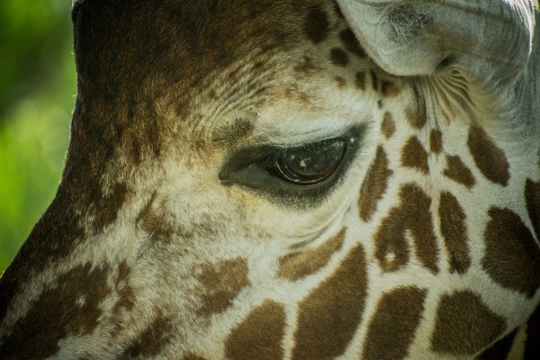 20181104 DSC 0225  3  Print