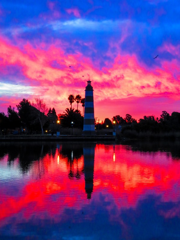 20190212 IMG_3237 Print