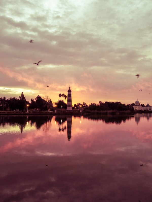 20190212 IMG_3260 Print