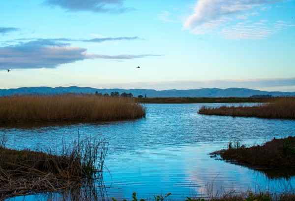 20190228 DSC 0066 2 Print