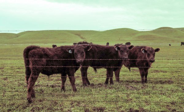 20190228 IMG_3567 2 Print