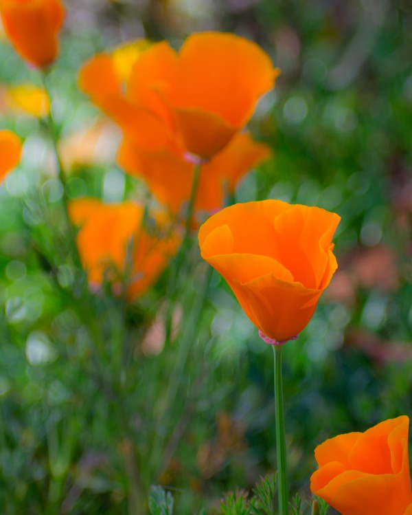 20190331 DSC 0046 Print