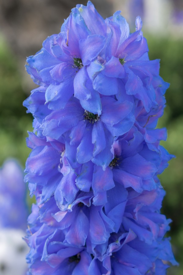 20190506 DSC 0244 Print