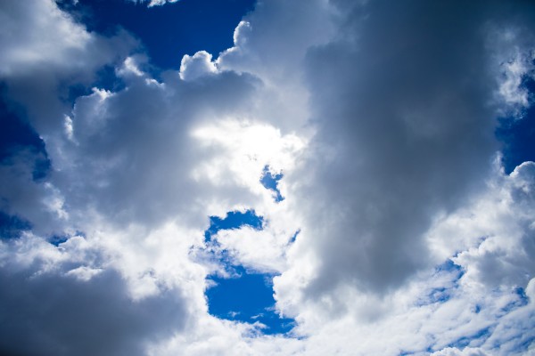 20190506 DSC 0315 Print