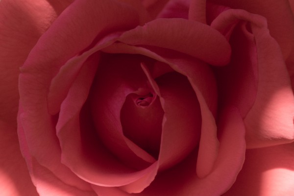 20190601 DSC 0061 3 Print