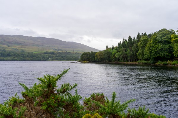 20190914 DSC 0405 Print