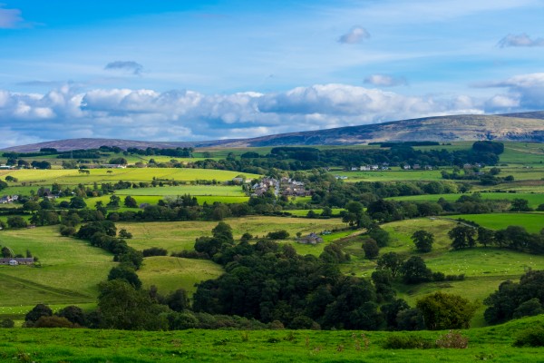 20190916 DSC 0358 3 Print