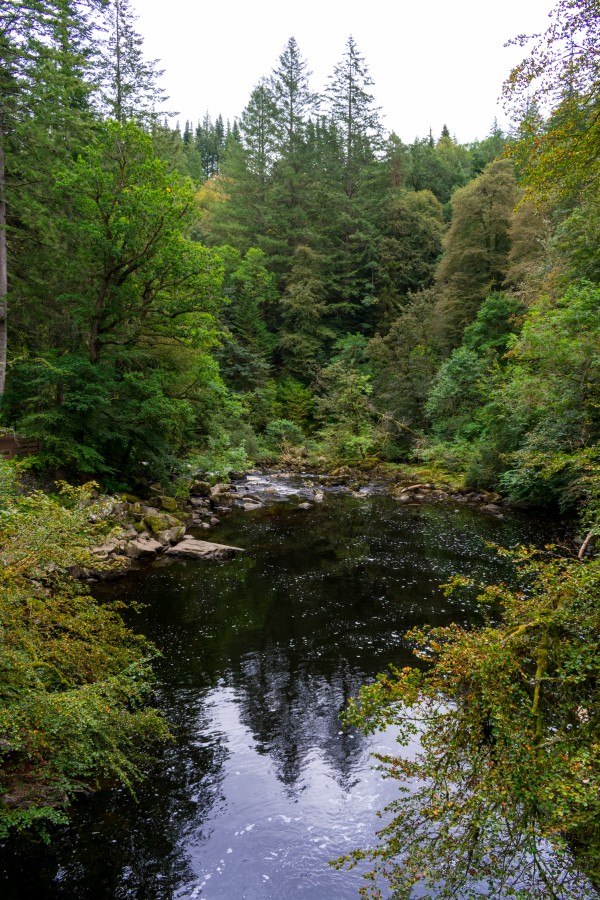 20190918 DSC 0293 Print