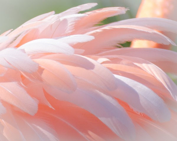 20201004 DSC 0234 Print