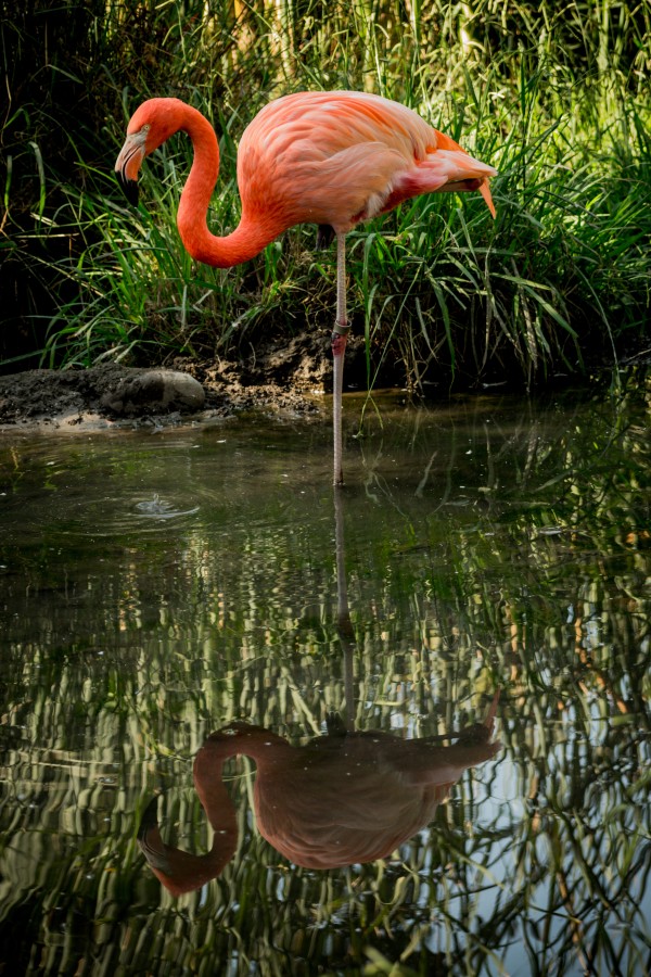 20201004 DSC 0252 Print