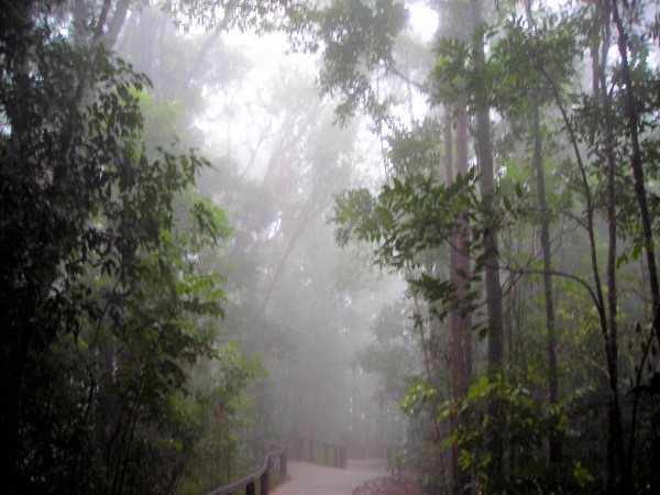 Mist4 Print