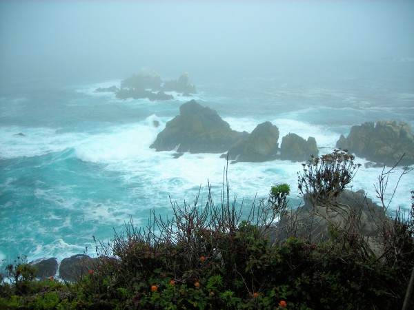 Ocean7 Print