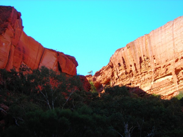 Outback3 Print