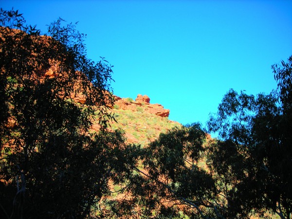 Outback4 Print